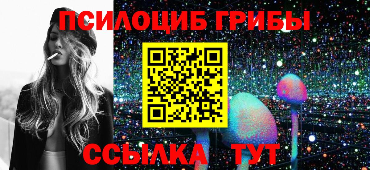 Псилоцибиновые грибы прущие грибы  продажа наркотиков  Саянск  Вход с VPN 